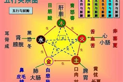 五行属土的人|五行人的性格和体质特点, 五行各属性的人物性格